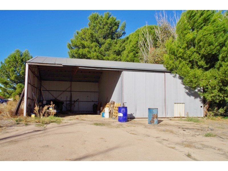 155 Teal Street, Renmark SA 5341