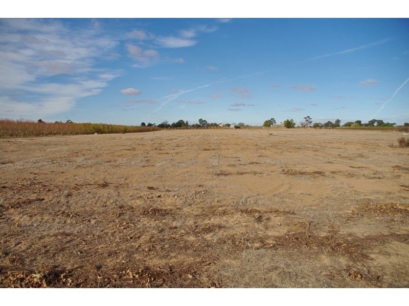 Lot 6 Chowilla Street, Renmark SA 5341