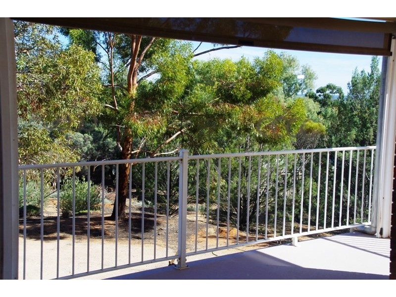 43 Murtho Road, Paringa SA 5340