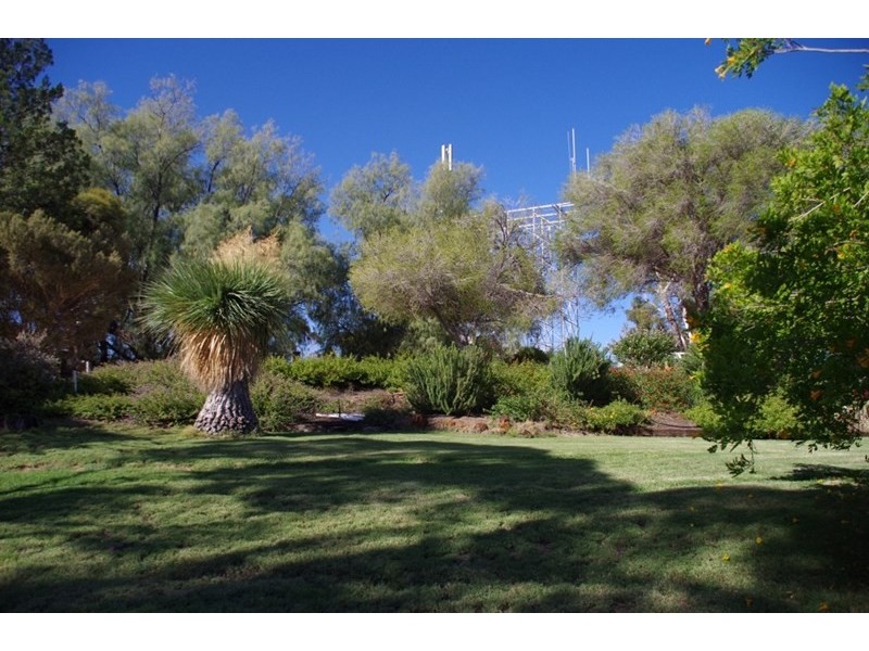 43 Murtho Road, Paringa SA 5340