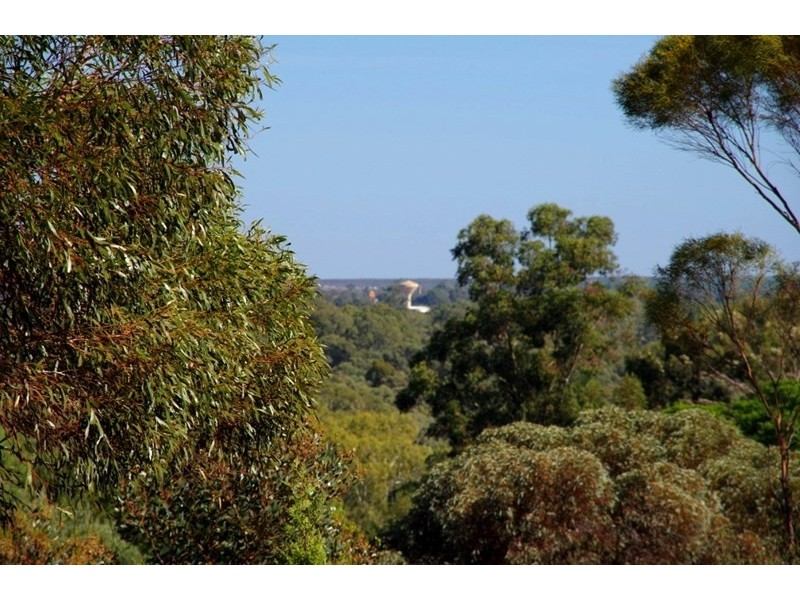 43 Murtho Road, Paringa SA 5340