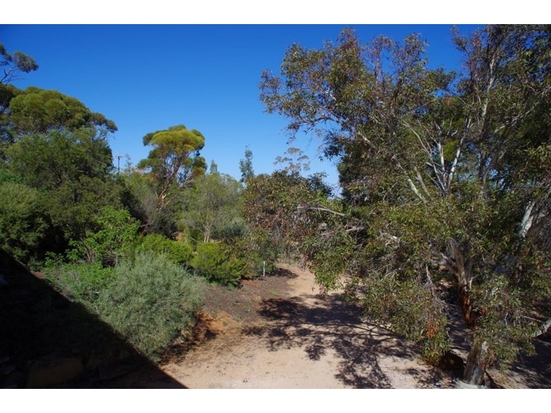 43 Murtho Road, Paringa SA 5340