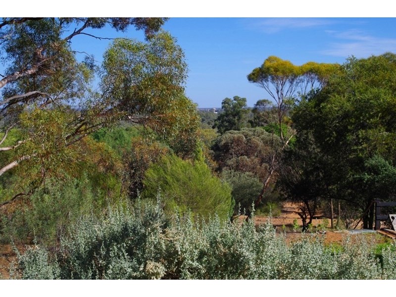 43 Murtho Road, Paringa SA 5340