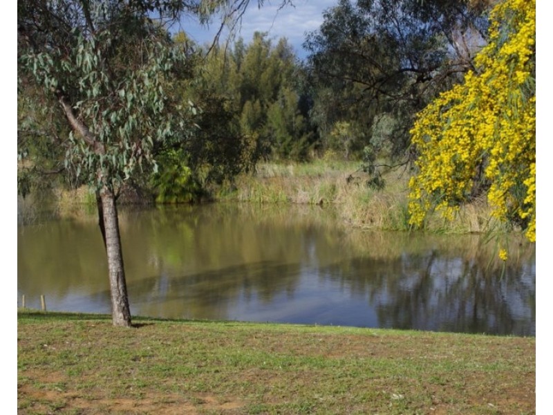 31 Meander Avenue, Renmark SA 5341