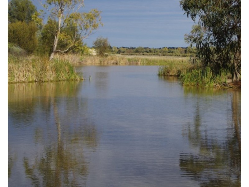 31 Meander Avenue, Renmark SA 5341