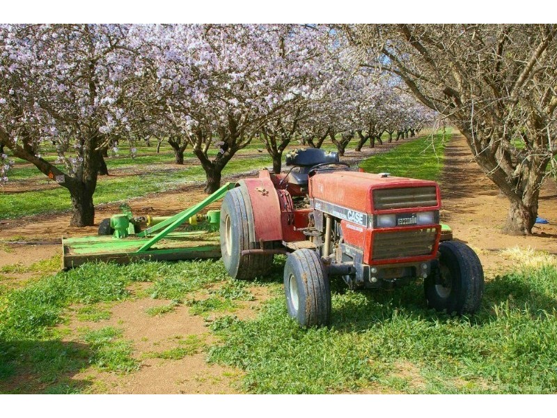 Lots/ Begarra Street, Renmark SA 5341