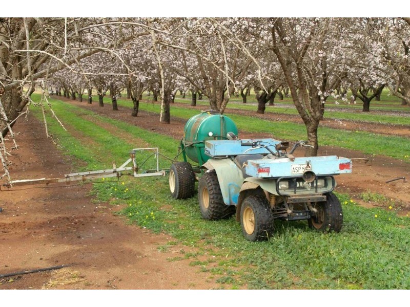 Lots/ Begarra Street, Renmark SA 5341