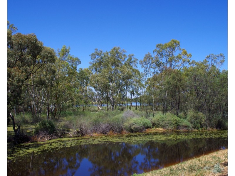 Lot 21-27 Eighteenth Street, Renmark SA 5341