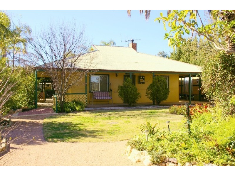 Lot/37 Tarcoola Street, Renmark SA 5341