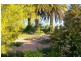Lot/37 Tarcoola Street, Renmark SA 5341