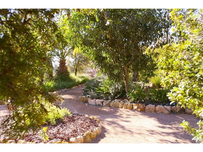 Lot/37 Tarcoola Street, Renmark SA 5341