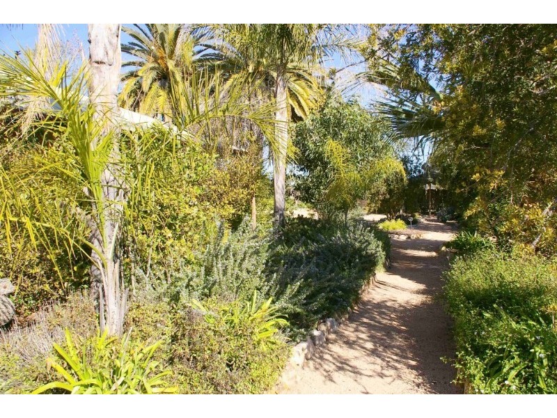 Lot/37 Tarcoola Street, Renmark SA 5341