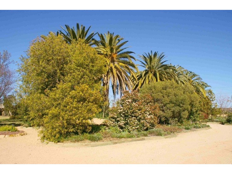 Lot/37 Tarcoola Street, Renmark SA 5341