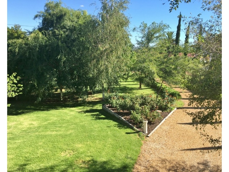 37 Riverview Drive, Paringa SA 5340