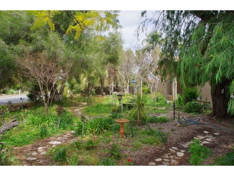 193 Goolwa Street, Renmark SA 5341