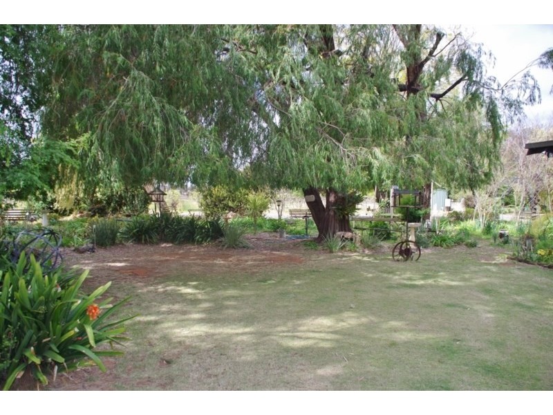 193 Goolwa Street, Renmark SA 5341