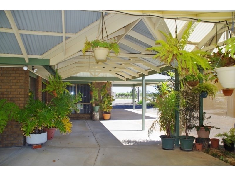 40 Sixth Street, Renmark SA 5341