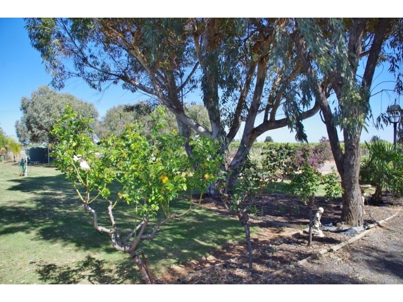 40 Sixth Street, Renmark SA 5341