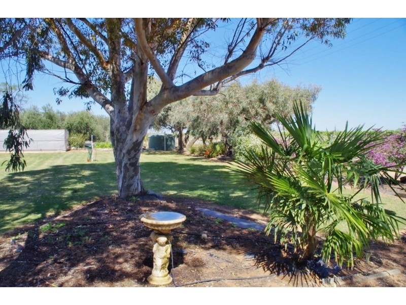 40 Sixth Street, Renmark SA 5341