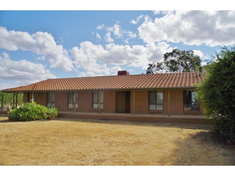 100 Arumpo Street, Renmark SA 5341