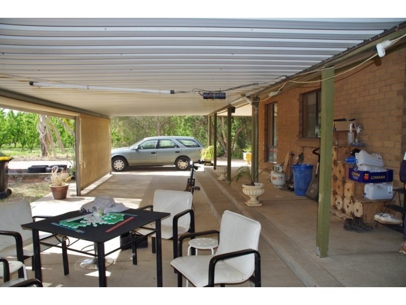 100 Arumpo Street, Renmark SA 5341