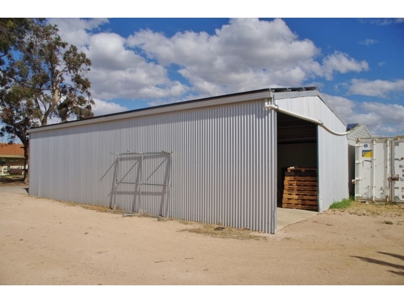 100 Arumpo Street, Renmark SA 5341