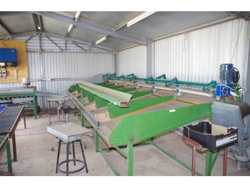 100 Arumpo Street, Renmark SA 5341