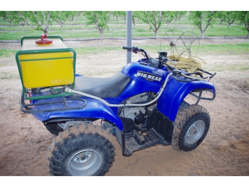 100 Arumpo Street, Renmark SA 5341