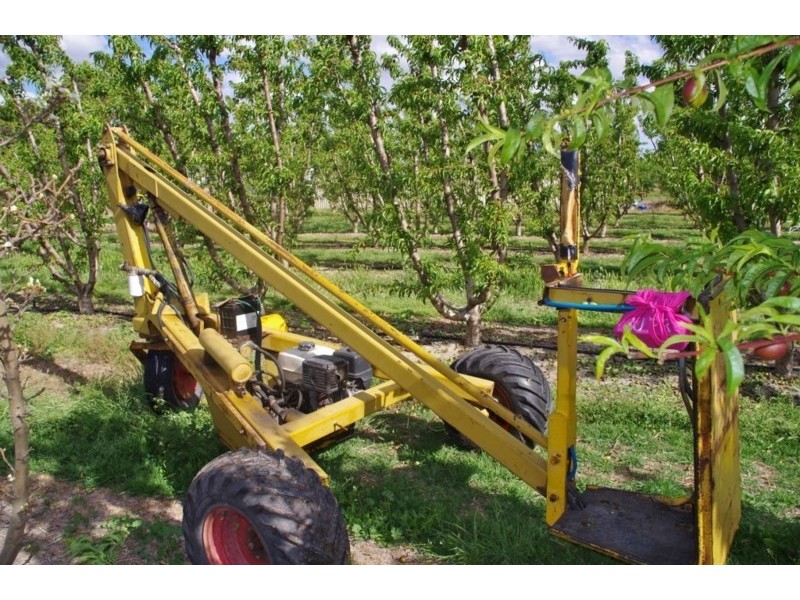 100 Arumpo Street, Renmark SA 5341