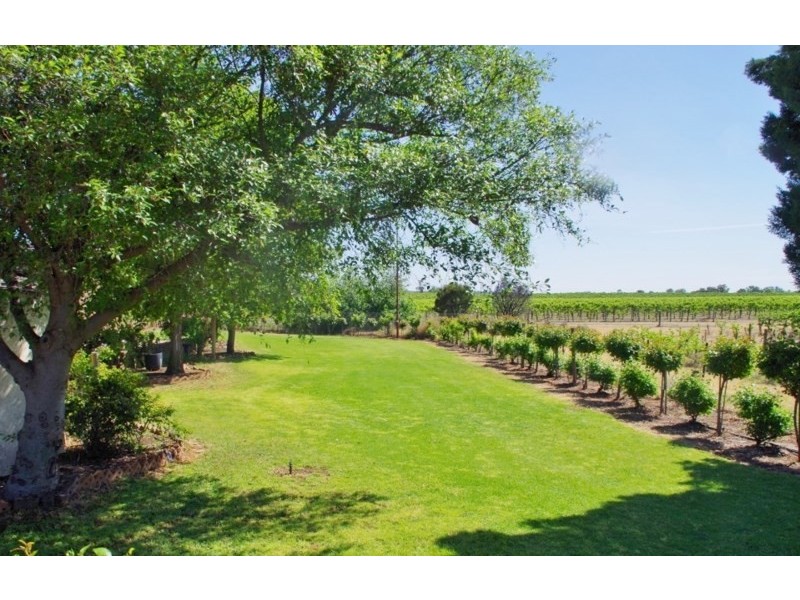 595 Government Road, Renmark SA 5341