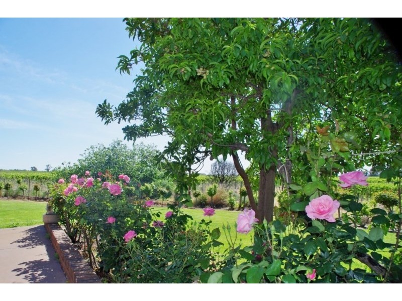 595 Government Road, Renmark SA 5341