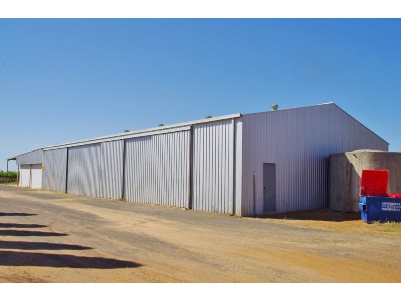 595 Government Road, Renmark SA 5341