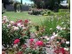 34 Ian Drive, Paringa SA 5340