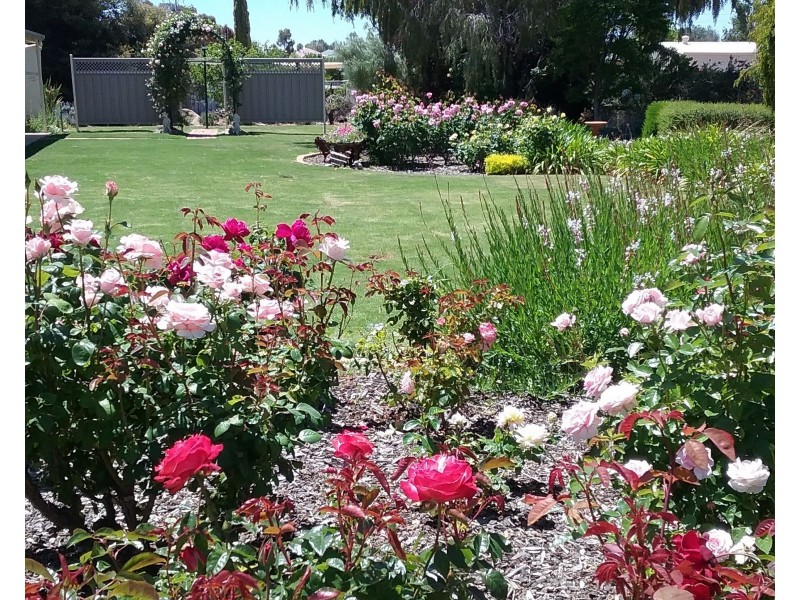 34 Ian Drive, Paringa SA 5340