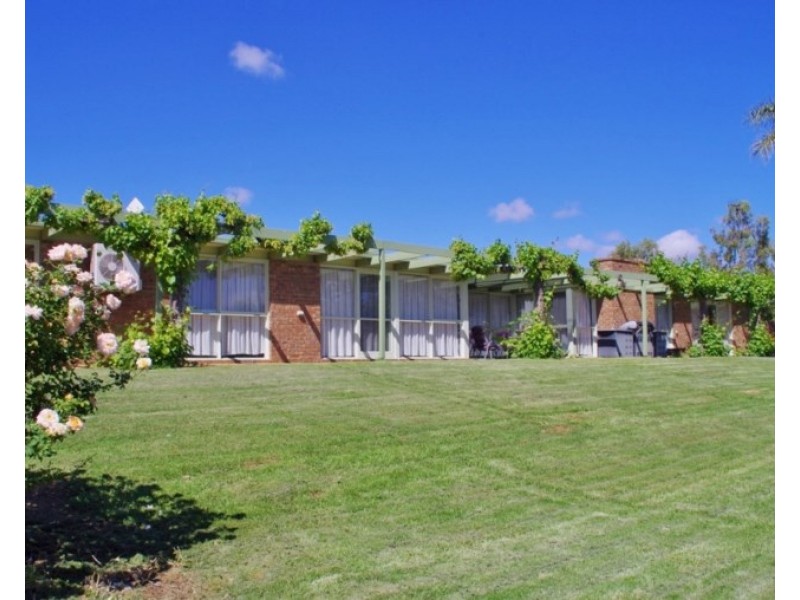 146 Chino Street, Renmark SA 5341