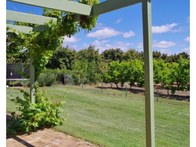 146 Chino Street, Renmark SA 5341