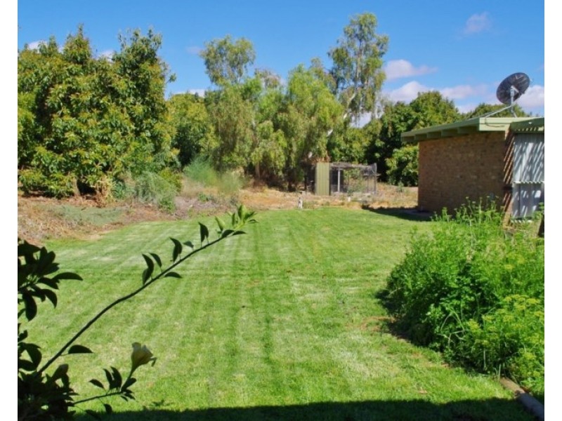 146 Chino Street, Renmark SA 5341