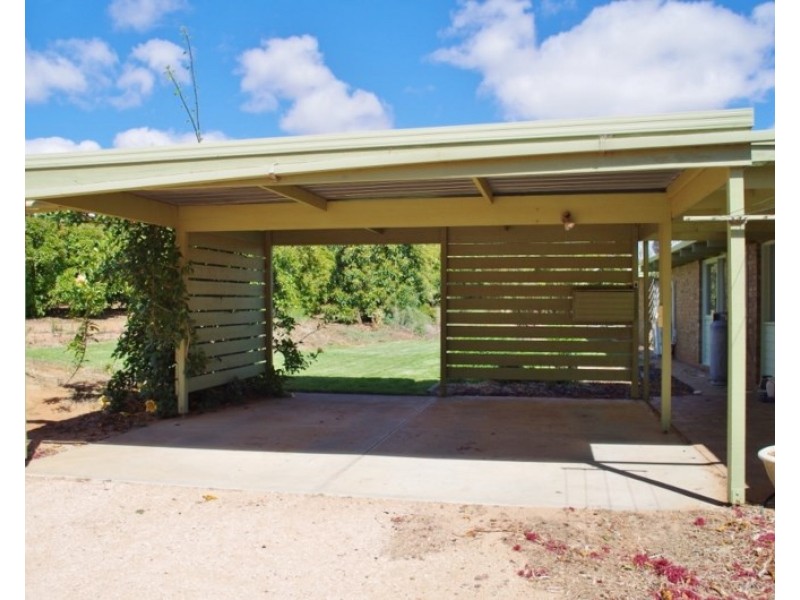 146 Chino Street, Renmark SA 5341