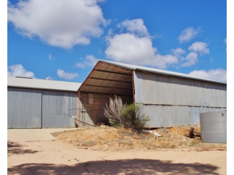 146 Chino Street, Renmark SA 5341