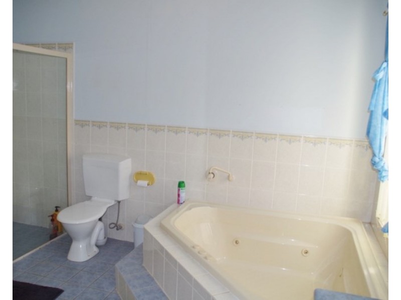 247 Twentyfirst Street, Renmark SA 5341