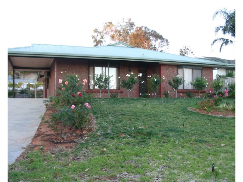 3 Dorothy Avenue, Paringa SA 5340