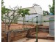 3 Dorothy Avenue, Paringa SA 5340