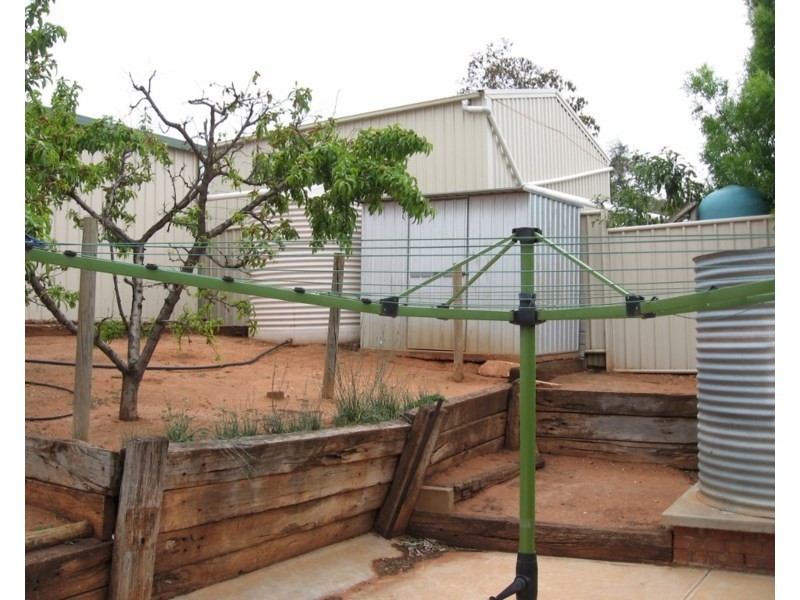 3 Dorothy Avenue, Paringa SA 5340