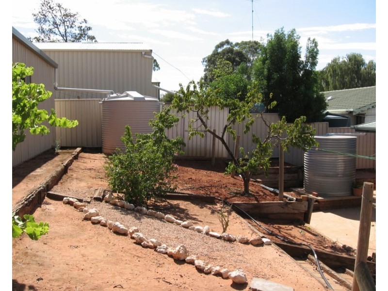 3 Dorothy Avenue, Paringa SA 5340