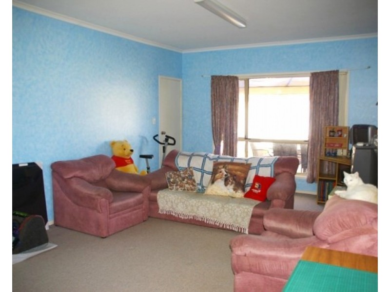 247 Twentyfirst Street, Renmark SA 5341