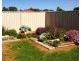 247 Twentyfirst Street, Renmark SA 5341