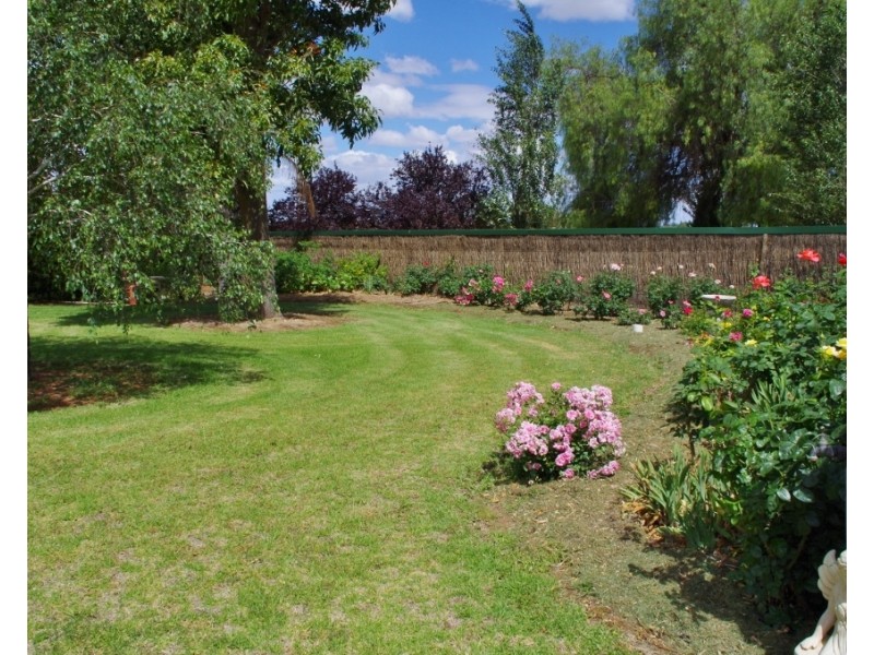 338 Ontario Street, Renmark SA 5341