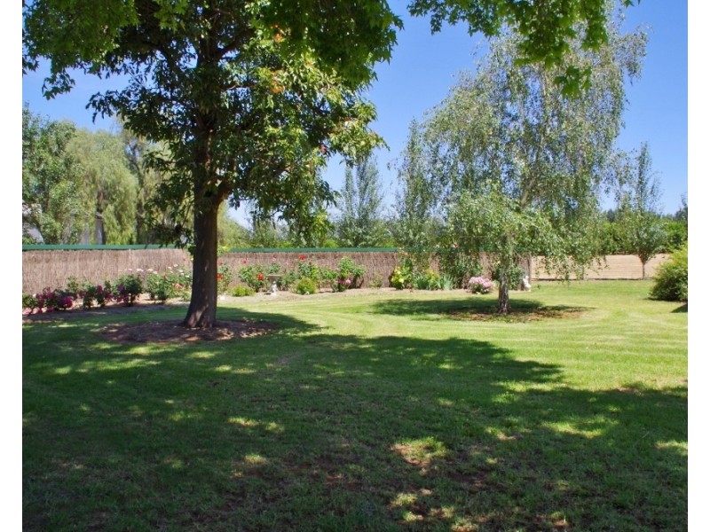 338 Ontario Street, Renmark SA 5341