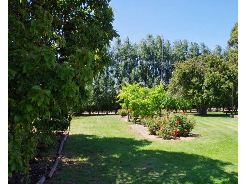 338 Ontario Street, Renmark SA 5341