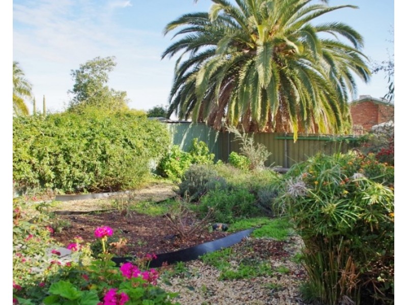 10A Cedar Avenue, Renmark SA 5341